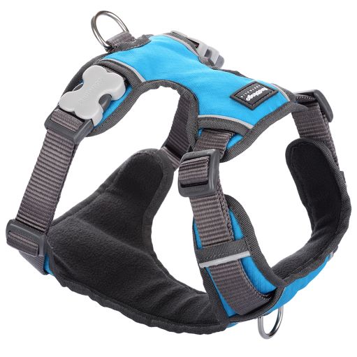 Red Dingo Padded Turquoise Dog Harness