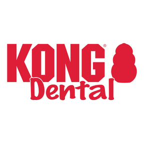 KONG Dental Large
