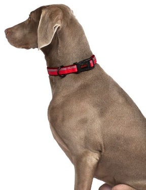 Halti Comfort Dog Collar Red