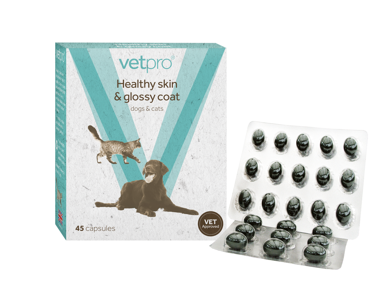 Vetpro Healthy Skin & Glossy Coat - 45 capsules