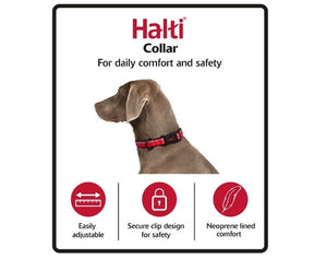 Halti Comfort Dog Collar Blue