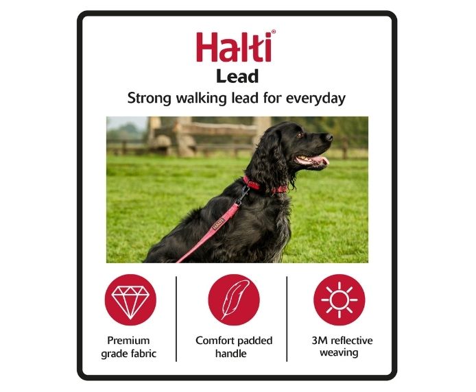 Halti Dog Lead (4 colours)