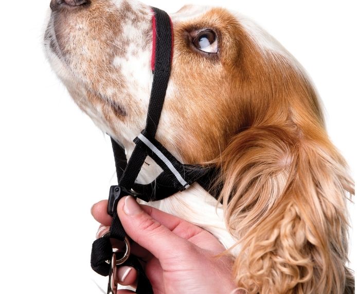 Halti Optifit Dog Headcollar