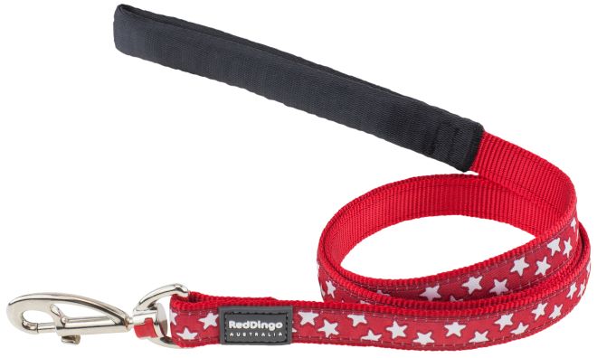 Red Dingo White Star Red Dog Lead