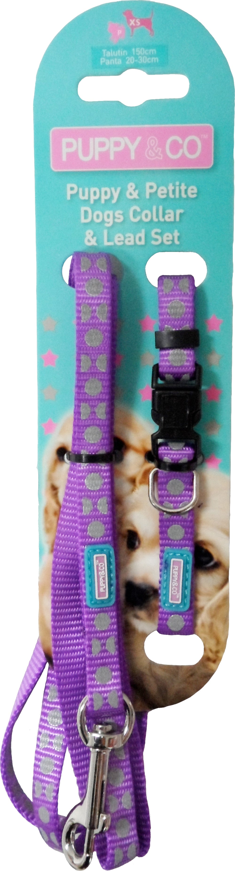 Puppy Reflective Collar & Lead Set