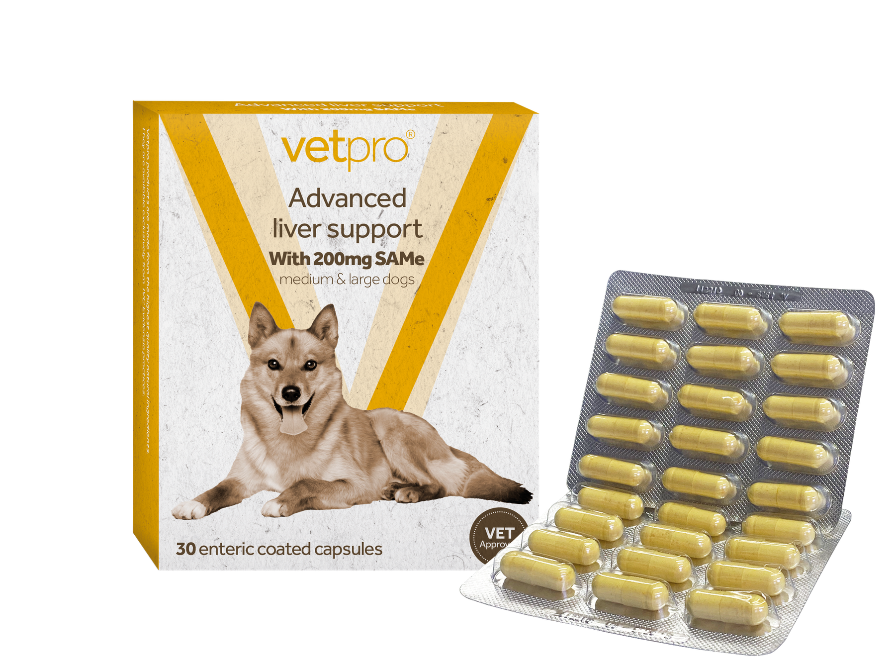 Vetpro Advanced Liver Support (Medium/Large Dogs) - Large Dogs 30 x 200mg