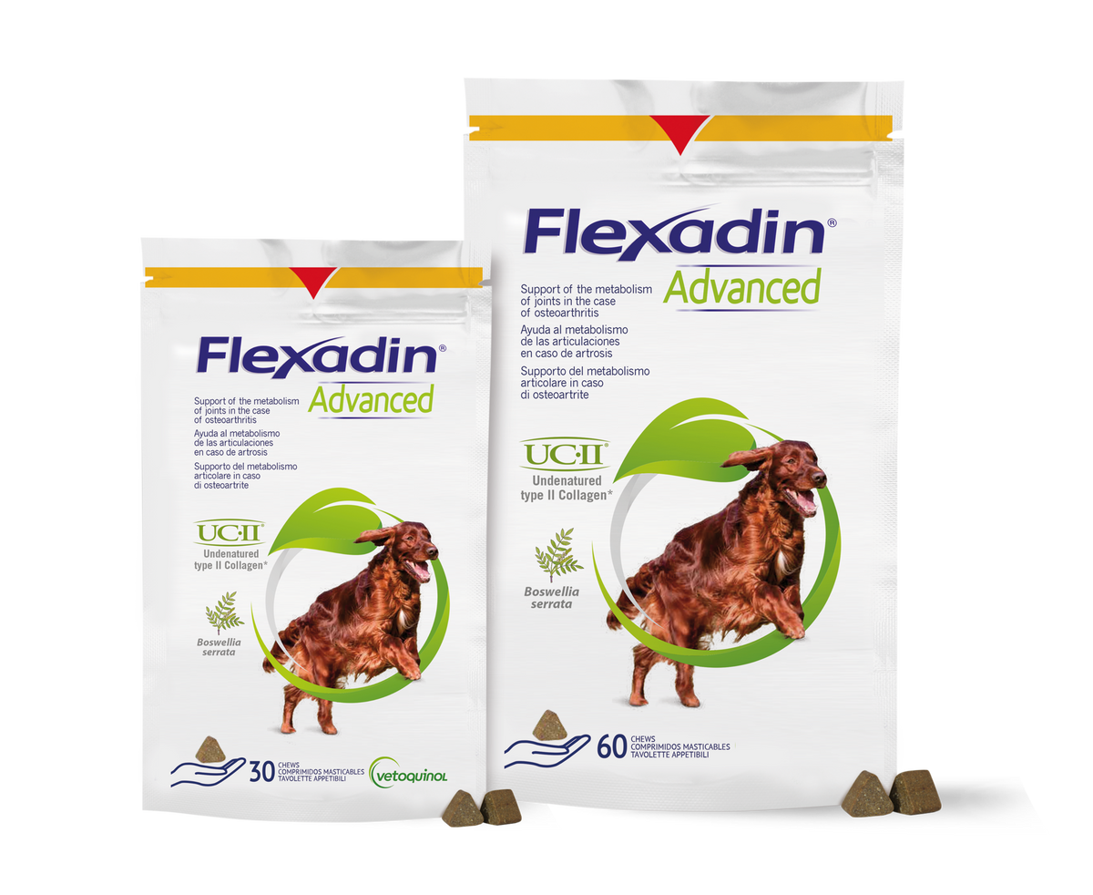 Vetoquinol Flexadin Advanced Dog Chews