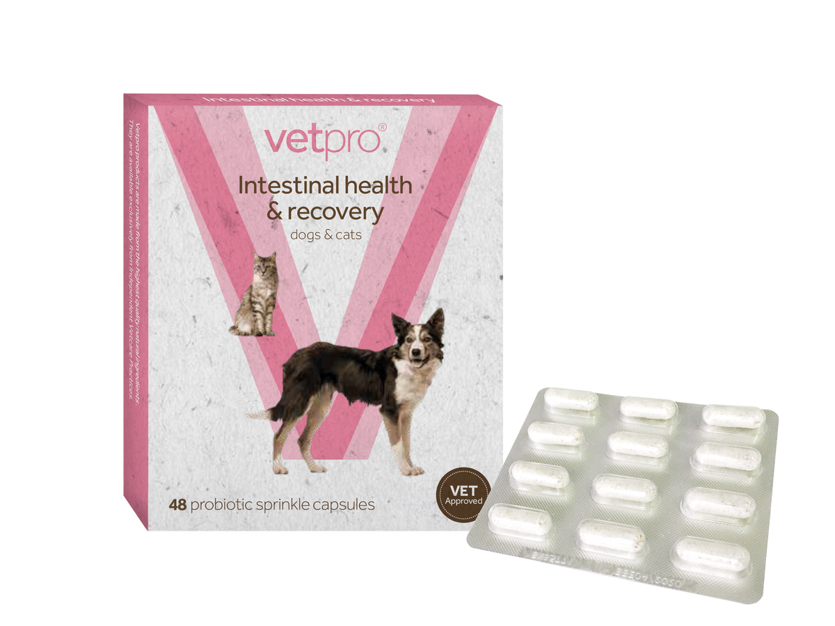 Vetpro Intestinal Health & Recovery - 48 capsules