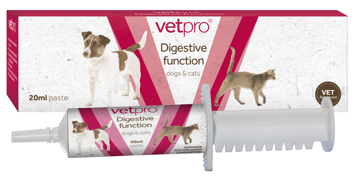 Vetpro Digestive Function Probiotic Paste - 20ml syringe