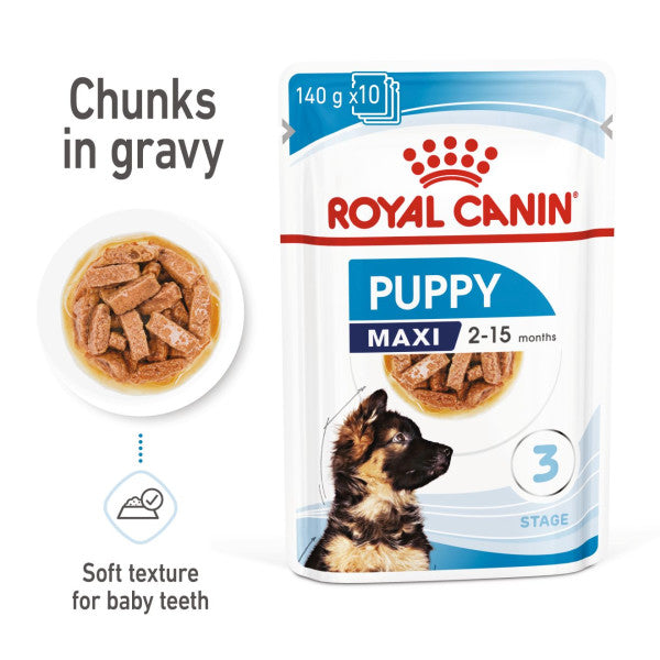 ROYAL CANIN SIZE HEALTH NUTRITION PUPPY - MAXI - Chunks in gravy