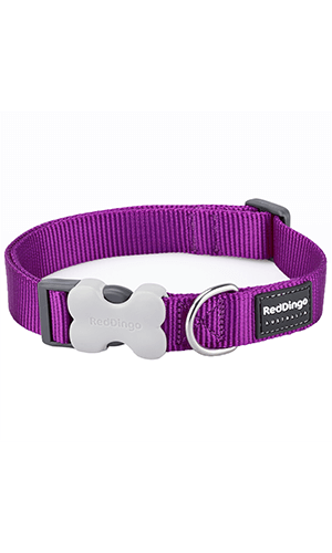 Red Dingo Classic Purple Dog Collar