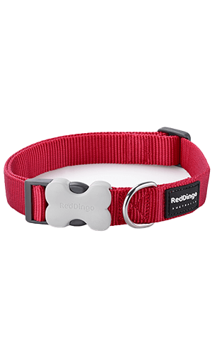 Red Dingo Classic Red Dog Collar