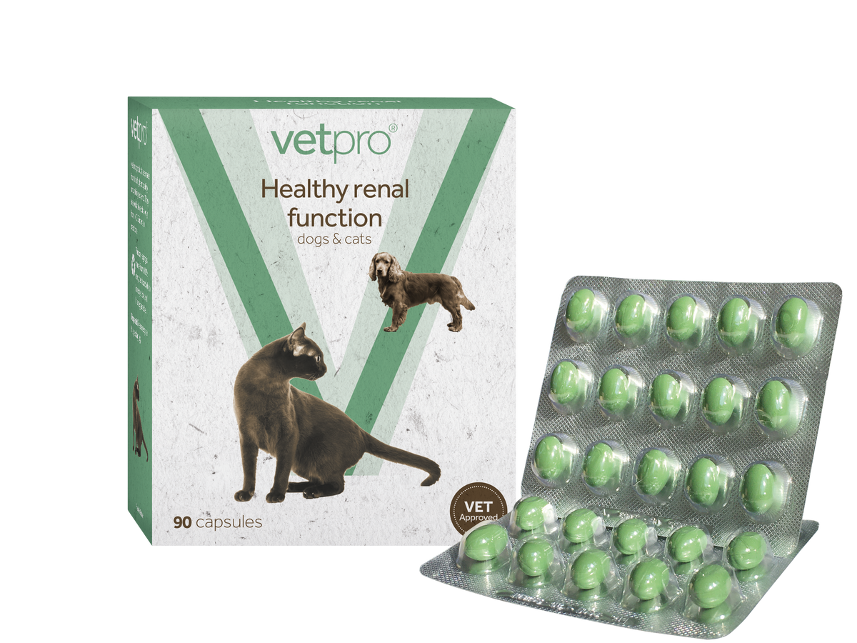 Vetpro Healthy Renal Function - 90 capsules