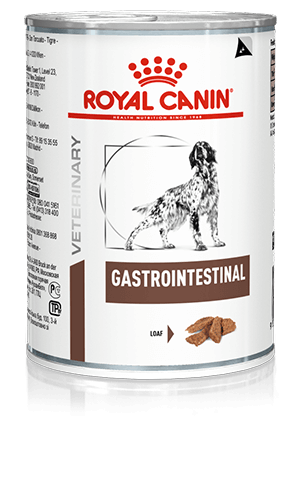 ROYAL CANIN® Gastrointestinal Adult Wet Dog Food