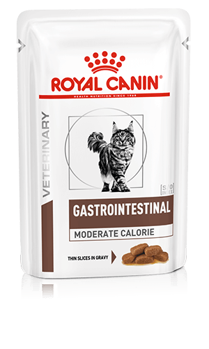 ROYAL CANIN® Gastrointestinal Moderate Calorie Adult Wet Cat Food