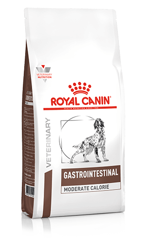 ROYAL CANIN® Gastrointestinal Moderate Calorie Adult Dry Dog Food