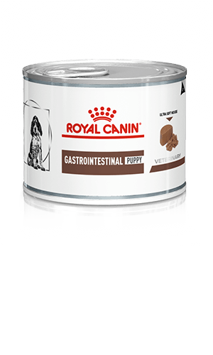 ROYAL CANIN® Gastrointestinal Puppy Wet Dog Food